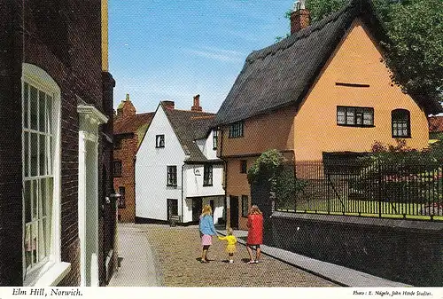 Norwich Elm Hill ngl D5573