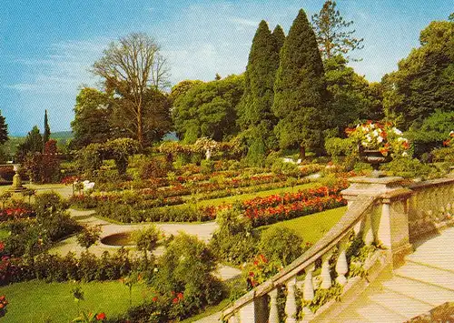 Insel Mainau im Bodensee Rosengarten ngl D4738