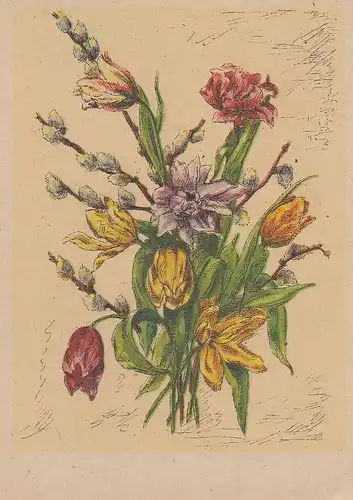 Tulpen und Kätzchen ngl D8727