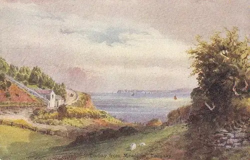 Torquay, Torbay from Meadfoot ngl D8769