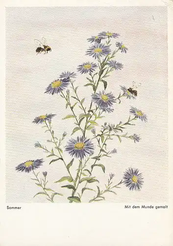 Sommer - mundgemalt ngl D7070