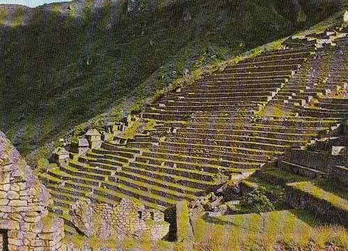 Perú Machupicchu, Inca Terraces for Agriculture ngl D6161