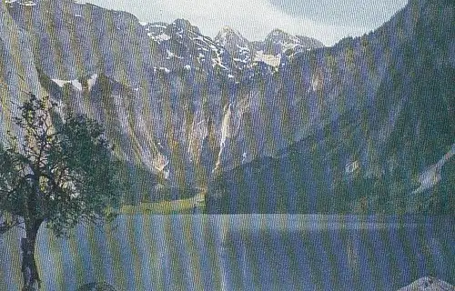 Obersee bei Berchtesgaden ngl D9725