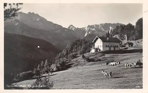 Partenkirchen Partnachalm ngl 155.027