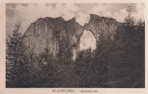 Blaubeuren Küssende Sau ngl D6346