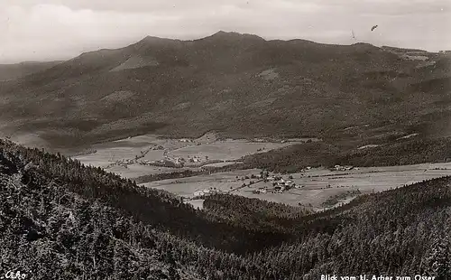 Bayer.Wald Blick gegen Sommerau, Lohberg u.Osser ngl D6688