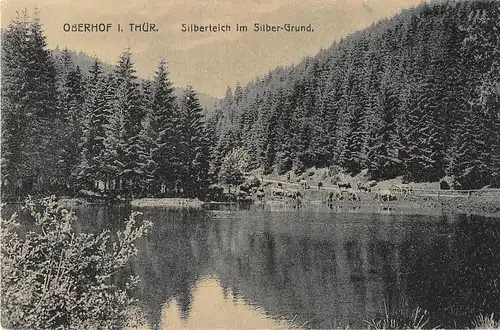 Oberhof i. Thür. Silberteich im Silber-Grund ngl 153.318