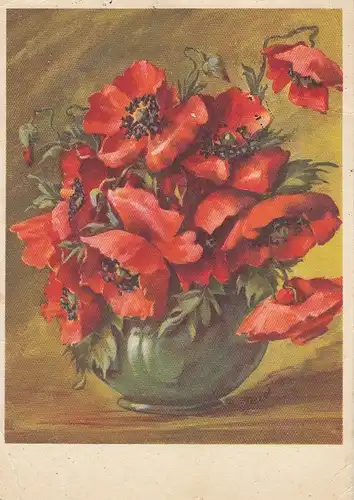 Klatschmohn in Vase gl1954 D7084