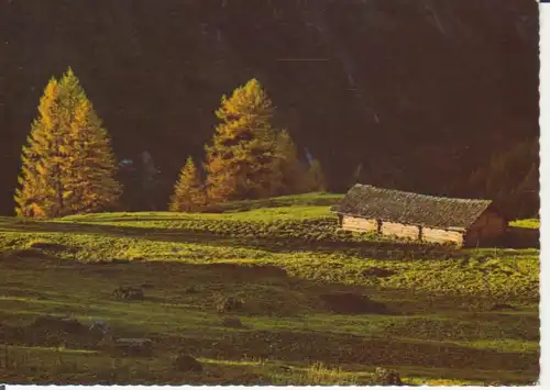 HERBST Goldene Sonne über der verlassenen Alm ngl 222.417