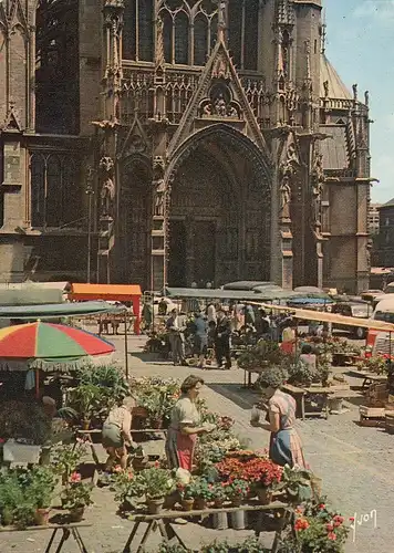 Metz (Moselle) La Cathédrale St-Etienne e le marche aux Fleurs ngl D7877