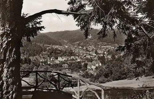 Bad Liebenzell Blick vom Kaffeehof ngl E0081