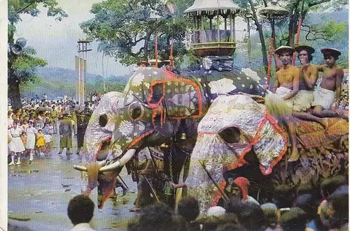 CL Festival of Sri Lanka. Kandy Pershera gl1983 D5308