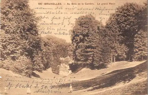 Bruxelles Au Bois de la Cambre Le grand Ravin feldpgl1916 153.580