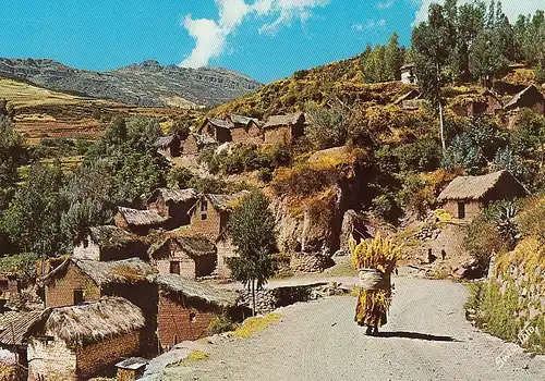 Perú Landscape near th mountain-road Cuzco-Pisac ngl D6148