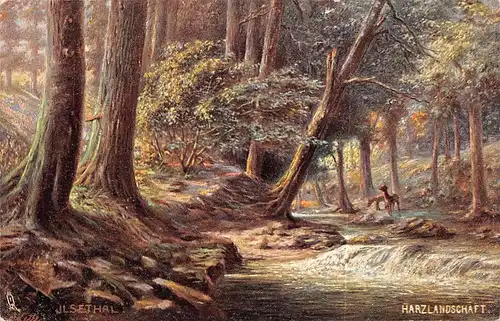 Ilsetal Harzlandschaft ngl 158.265