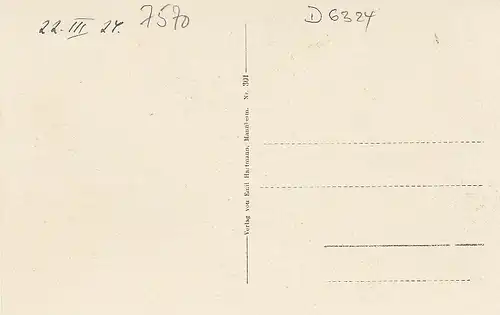 Baden-Baden u. Umgebung aus der Vogelschau ngl D6324