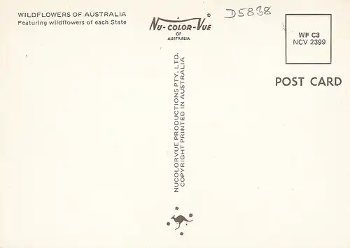 Wildflowers of Australia ngl D5838