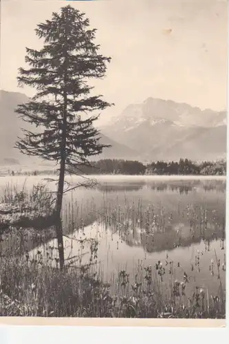 Krün Panorama mit Barmsee gl1964 222.563