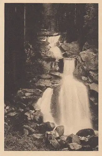 Triberg Wasserfall ngl D6396