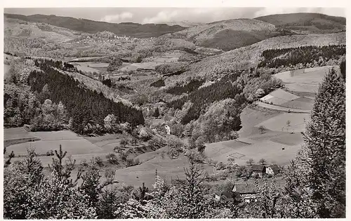 Blick v.d.Walpurgiskirche durch d.Weschnitzta nach Lindenfels im Odenwald ngl D6542