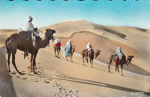 Maroc Patrouille en observation ngl D7559