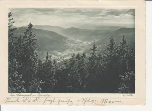 Vom Schwarzwald ins Vogesenland Panorama gl1941 222.567