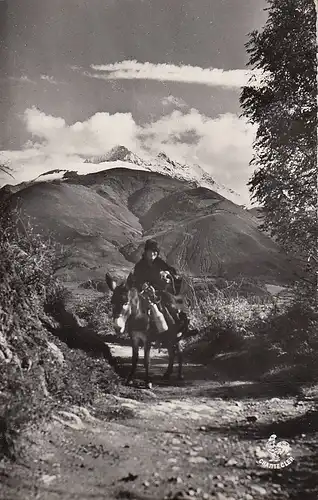 Les Pyrénnées Haute Montagne Paysanne ngl D8174