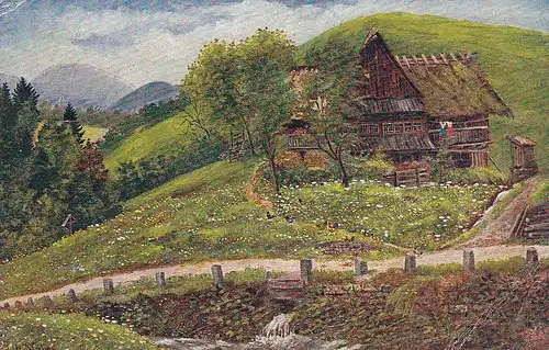 De PERTHES, Am Wiesenbach (Schwarzwald) gl1918 E0478