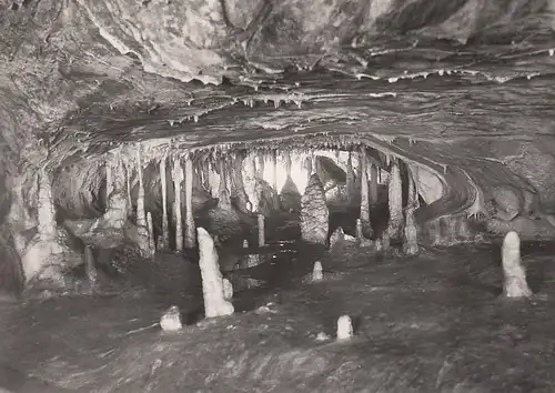 Rübeland Harz Hermannshöhle ngl D6700