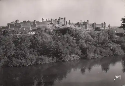 Carcassonne (Aude) Vue général ngl D8189