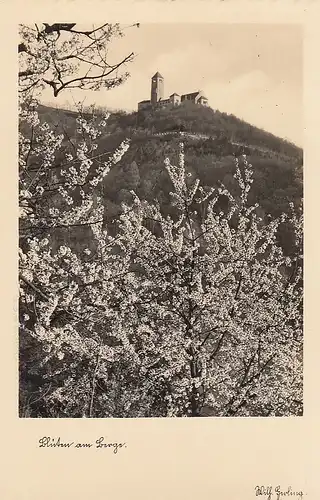 Weinheim a.d.B. W.S.C Wachenburg im Blütenzauber ngl E0534