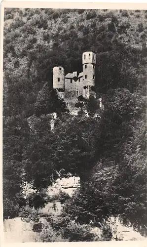 Burg Schwalbennest bei Neckarsteinach ngl 155.550