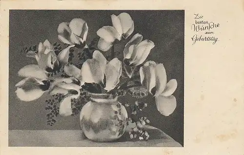 Geburtstag-Wünsche mit Alpenveilchen in Vase ngl D9714