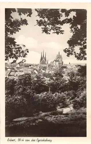 Erfurt Blick von der Cyriaksburg gl1954 156.269