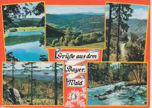 Bayer.Wald Mehrbildkarte gl1978 222.751