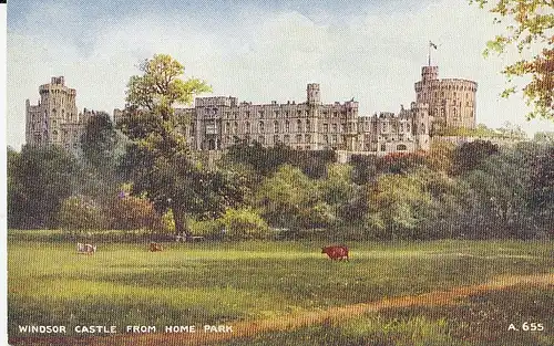 Windsor Castle from home park ngl D9011