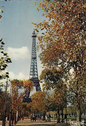 Paris La Tour Eiffel ngl D8256