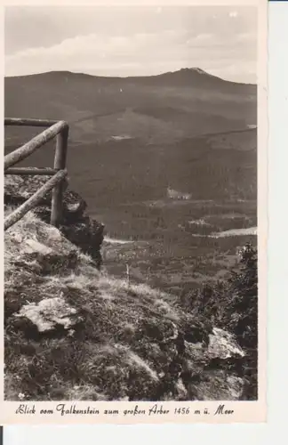 Zwiesler Waldhaus Blick vom Falkenstein zum großen Arber gl1966 222.790