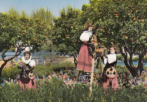 La Côte d'Azur, Vallauris, Les jeunes filles cuciliant les oranges ngl D9931