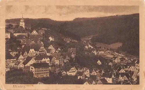 Altensteig Panorama glca.1915 156.425