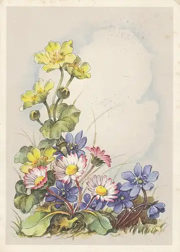 Wiesenblümchen gl1953 E0038