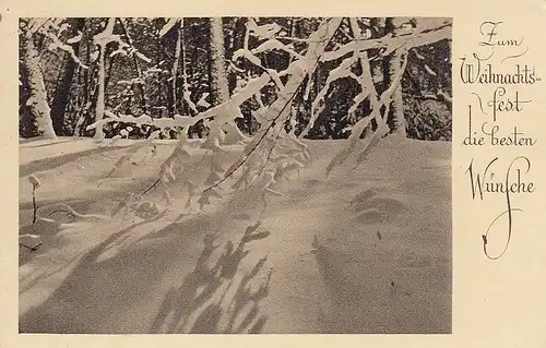 Weihnachten-Wünsche Winterwald gl1938 E0975