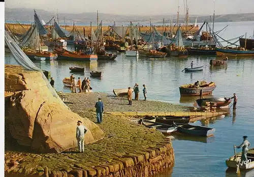 Bretagne Port de Pêcheurs ngl D8229