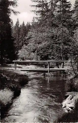 Bischofsgrün im Fichtelgebirge Partie im Maintal gl1958 153.346