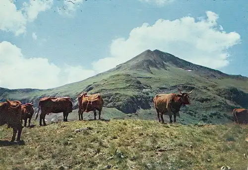 Cantal, Le Puy Mary ngl E0123