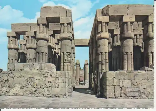 Ägypten: Luxor - Huge Columns of Amon Temple ngl 223.690