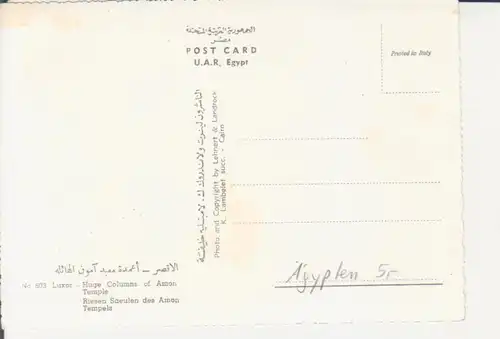 Ägypten: Luxor - Huge Columns of Amon Temple ngl 223.690