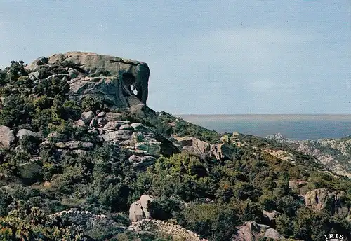 Corse De Sartene a Bonifacio L'Elephant de Roccapina ngl D8025