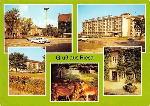 Riesa Leninplatz Tierpark Rathaus Haus d. Stahlwerke gl19? 154.203