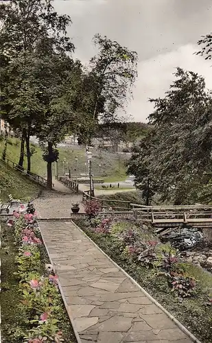 Altenau Oberharz , im Kurpark ngl E0203